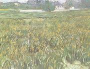 Vincent Van Gogh Wheat Field at Auvers with White House (nn04) china oil painting artist